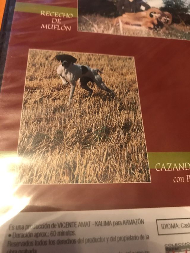 Dvd caza doble bravo pointer mugrón rececho