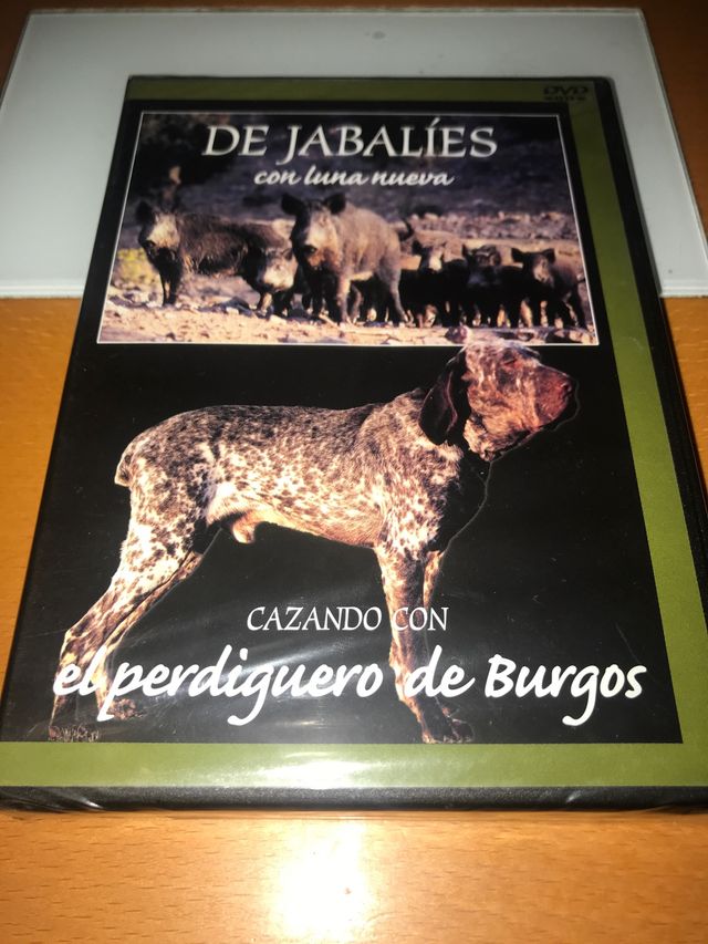 Dvd caza perdiguero Burgos Jabali