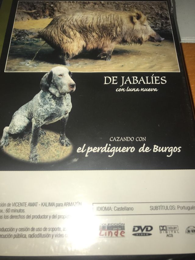 Dvd caza perdiguero Burgos Jabali