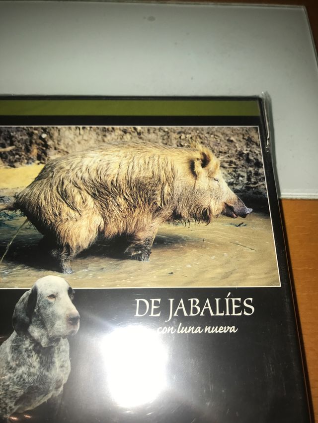 Dvd caza perdiguero Burgos Jabali