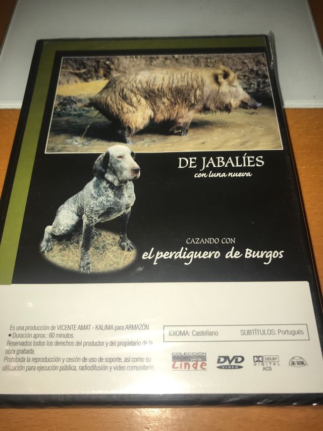 Dvd caza perdiguero Burgos Jabali
