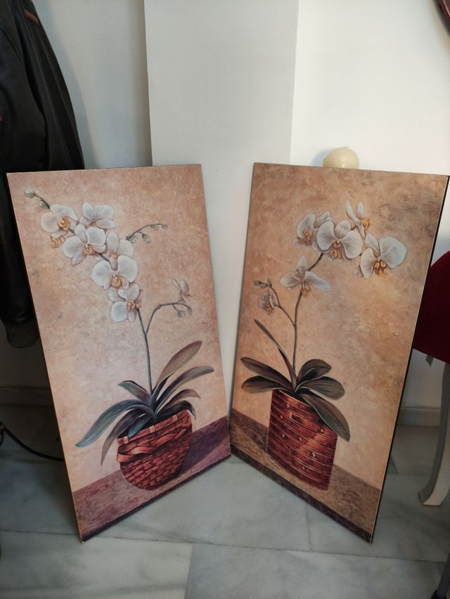 cuadros orquídeas