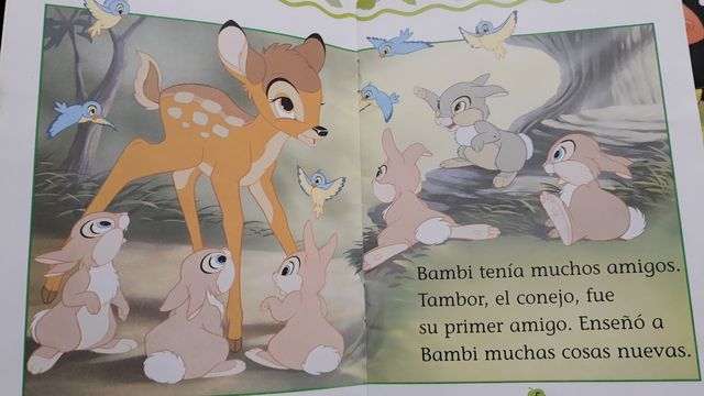 LIBRO DINOSAURIOS 5 más de regalo  TITO VACA BAMBI