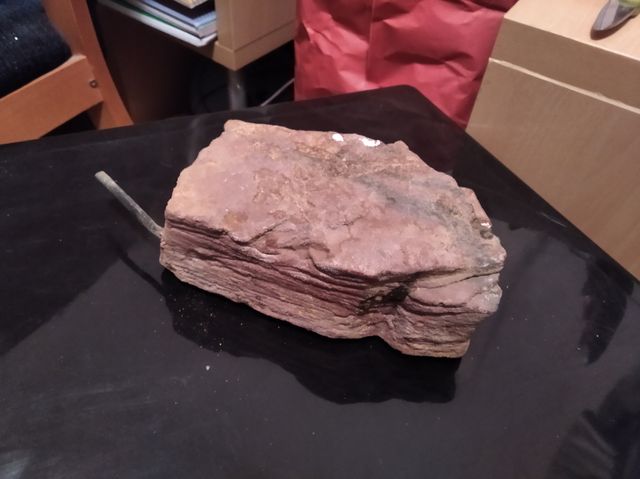 Piedra calefactable terrario