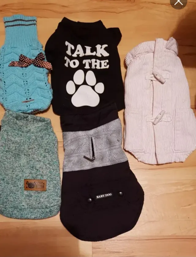 Trajes perrito bebe chiguagua.