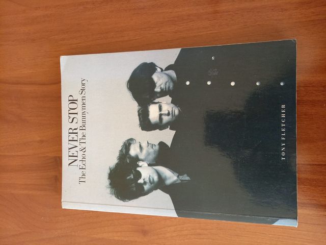 Never stop The Echo and The Bunnymen.