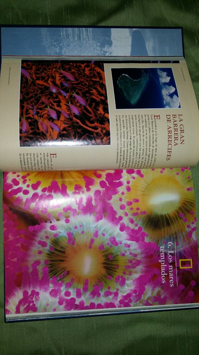 LOS REINOS DEL MAR LIBRO 