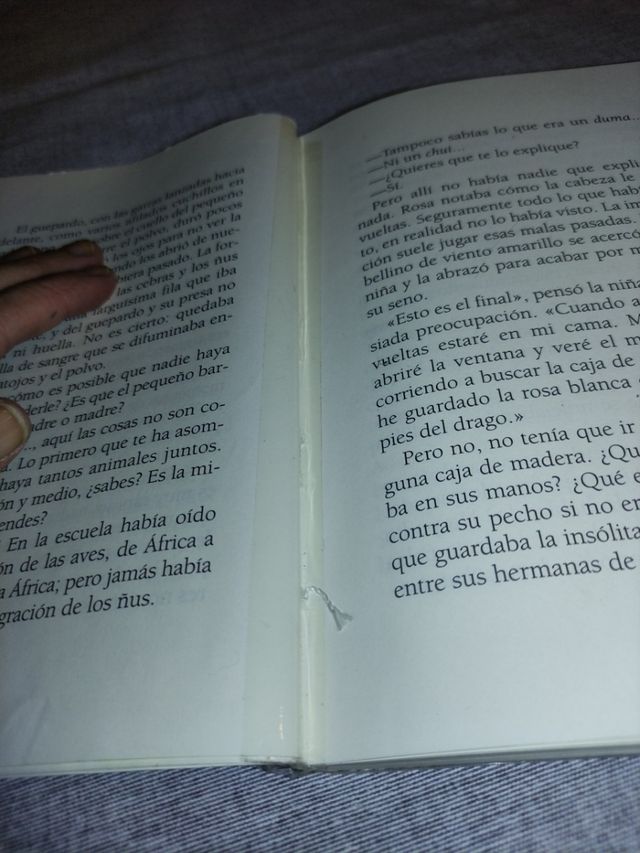 La rosa del Klimanjaro