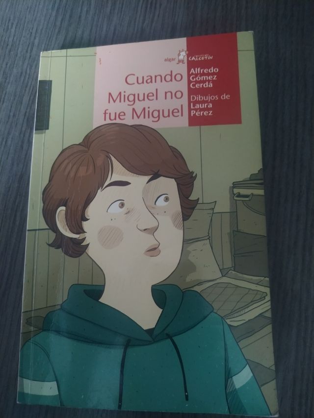 Cuando Miguel no fue Miguel