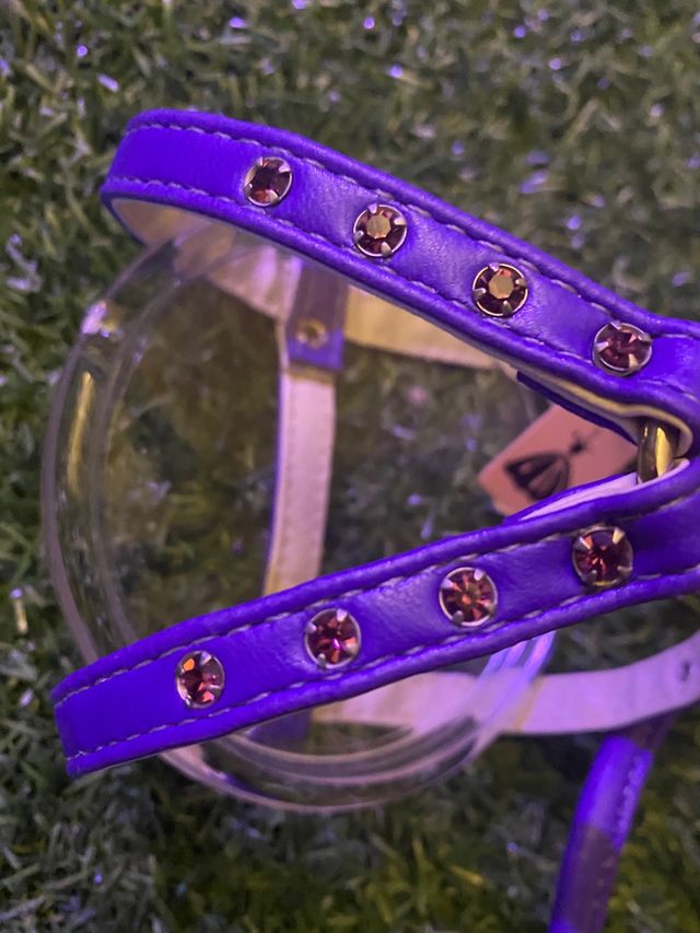 Arnes y correa piel lila nuevo a estrenar