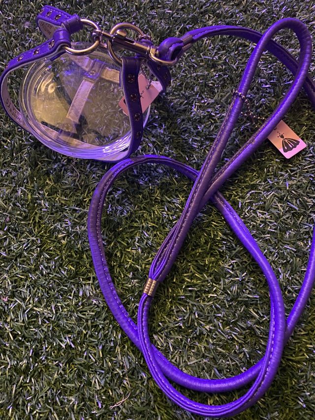 Arnes y correa piel lila nuevo a estrenar