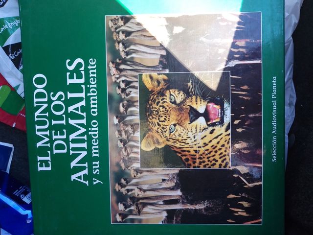 discos el mundo de los animales