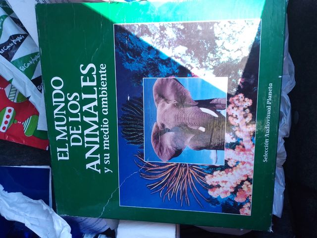 discos el mundo de los animales
