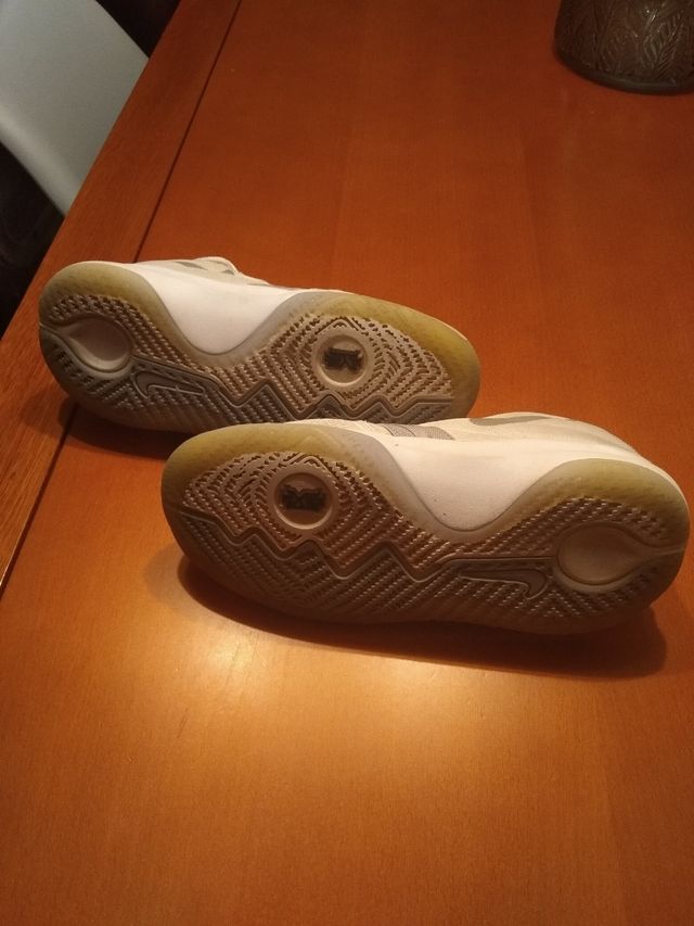 Zapatillas de básquet