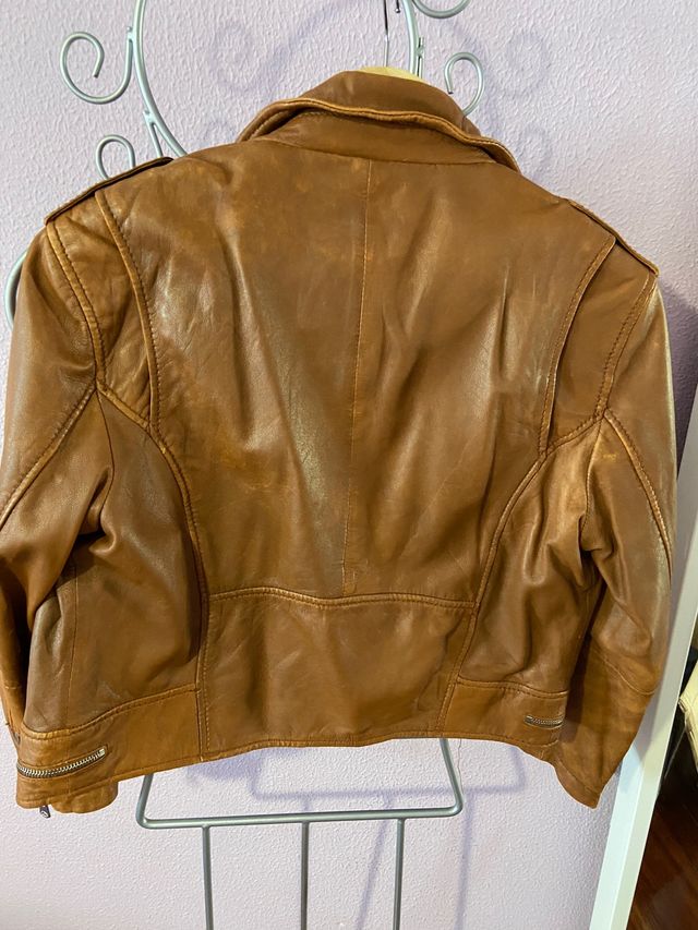 Cazadora marron