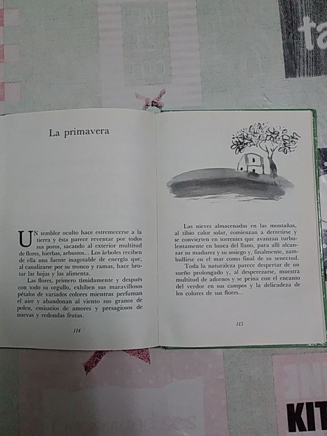Libro Trotamundos