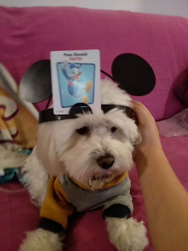 hedbanz disney