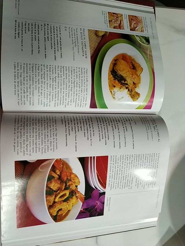 wok con libro de recetas 