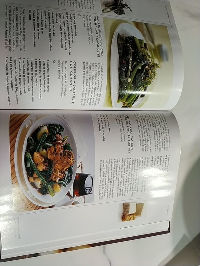 wok con libro de recetas 