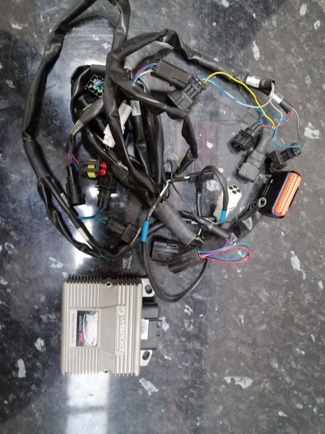 centralita rapid bike evo ducati scrambler