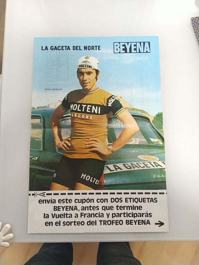 Poster Eddy Merckx