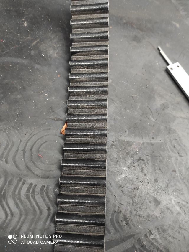 correas para Harley davidson nuevas y ocasion