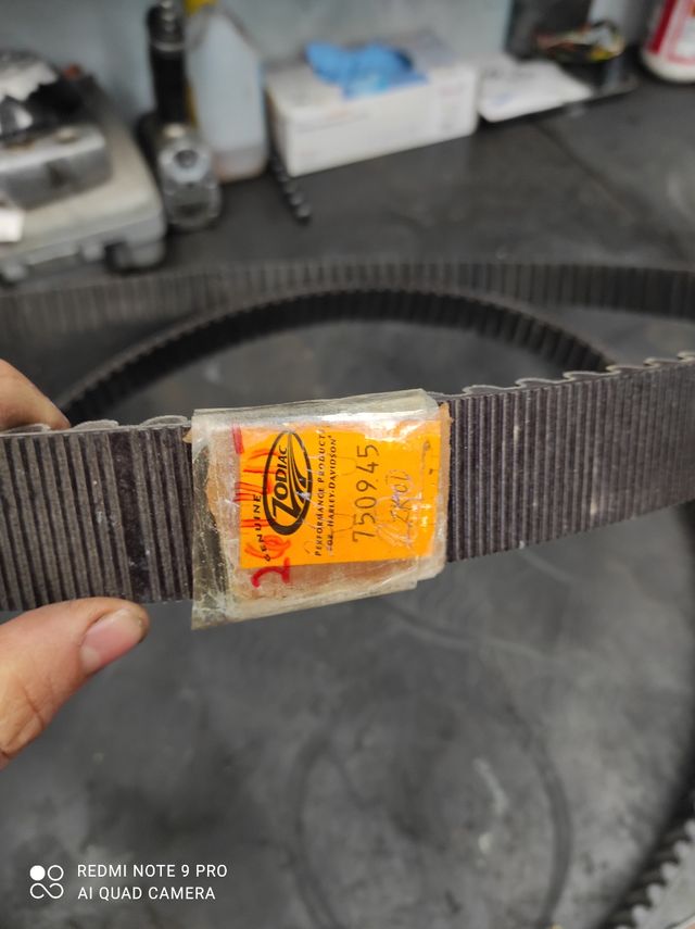 correas para Harley davidson nuevas y ocasion