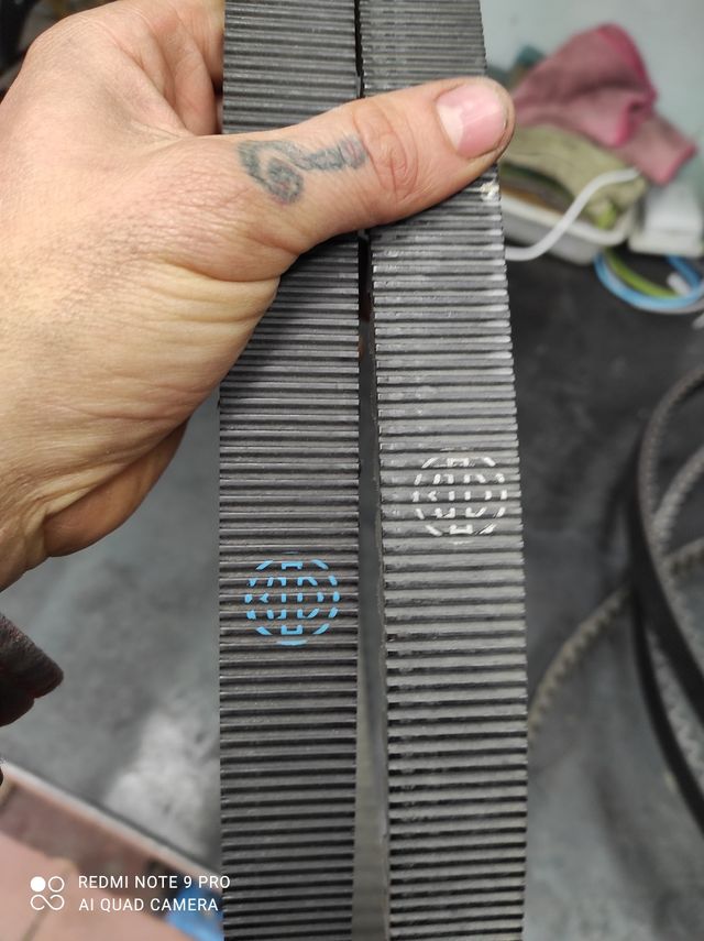 correas para Harley davidson nuevas y ocasion