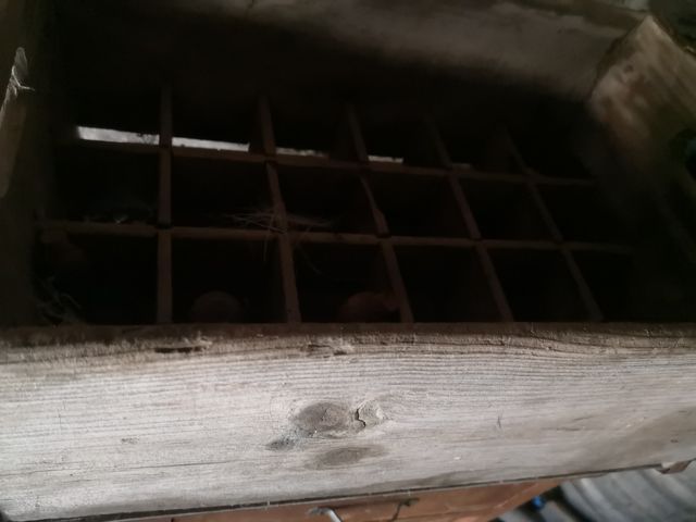 caja antigua de Fanta