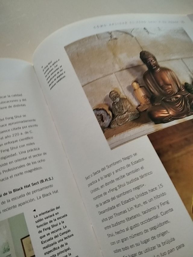 Libro Feng Shui