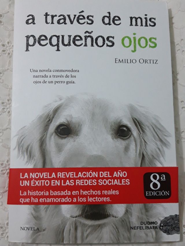 A través de mis pequeños ojos