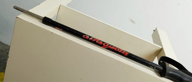 Bastón para la nieve.