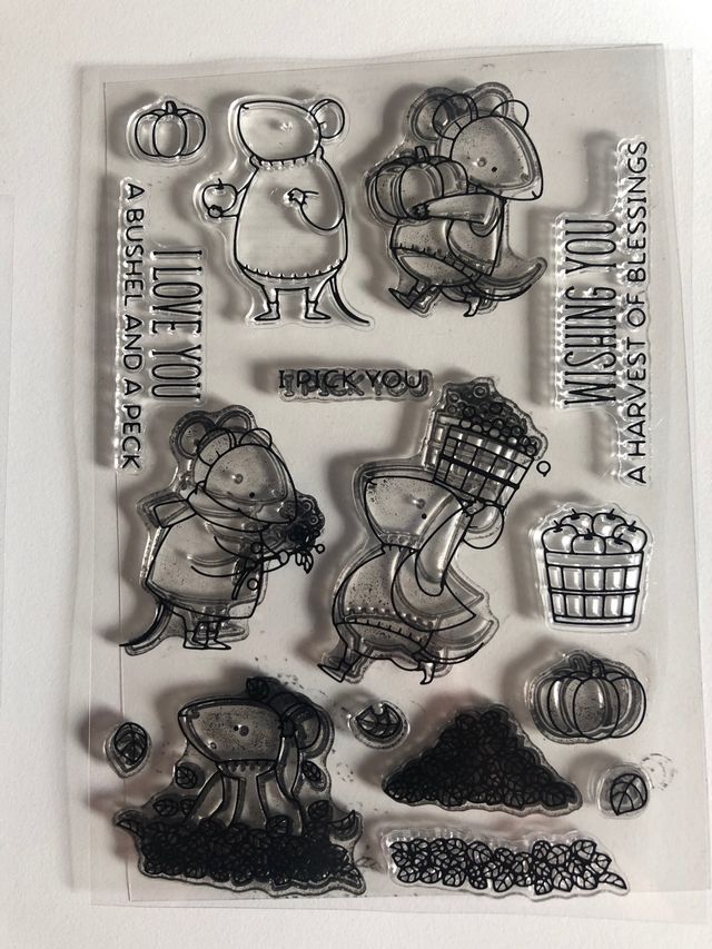 Lote sellos silicona