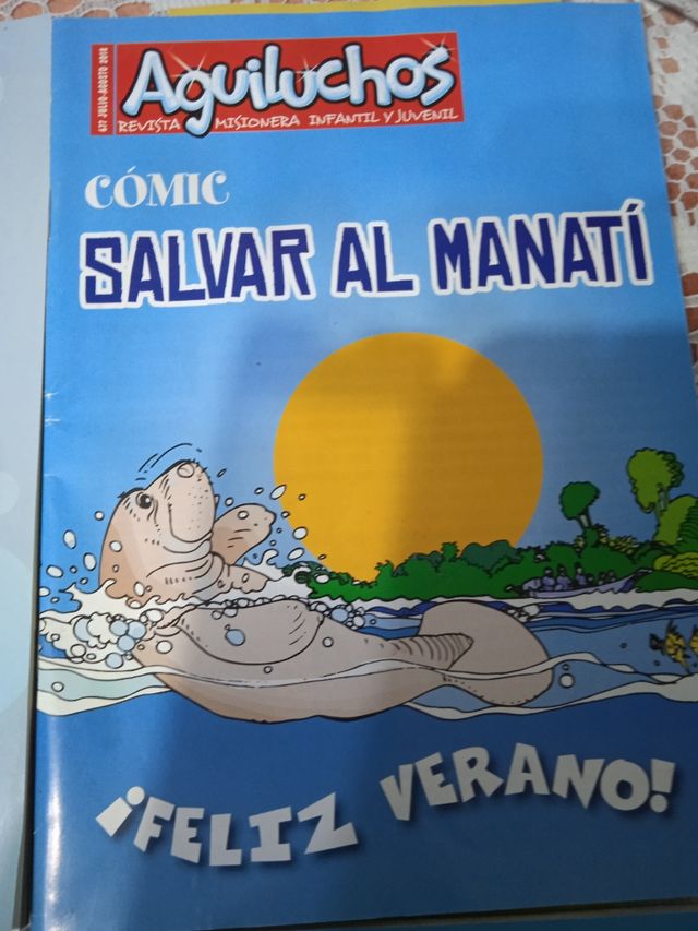 lote 13 revistas Aguiluchos