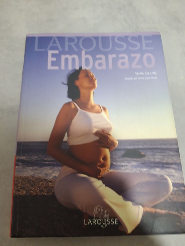 Larousse Embarazo