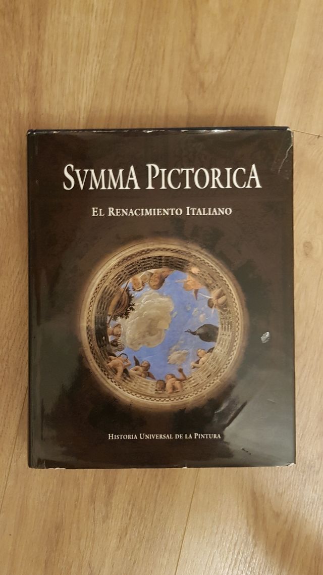 Collecion Libros de arte SUMMA PICTORICA 5 tomos
