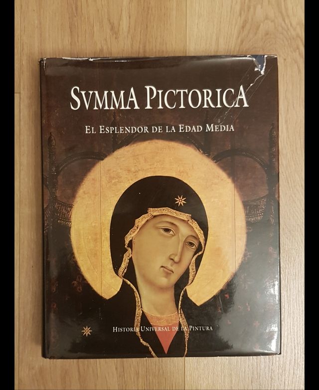 Collecion Libros de arte SUMMA PICTORICA 5 tomos