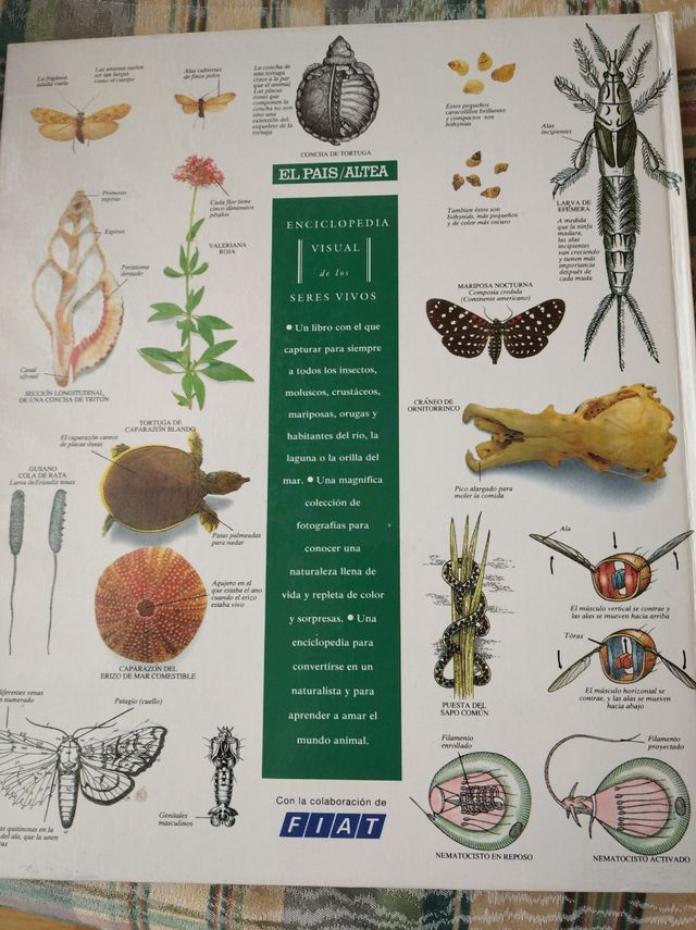 Enciclopedia visual de los seres vivos. Tomo III.