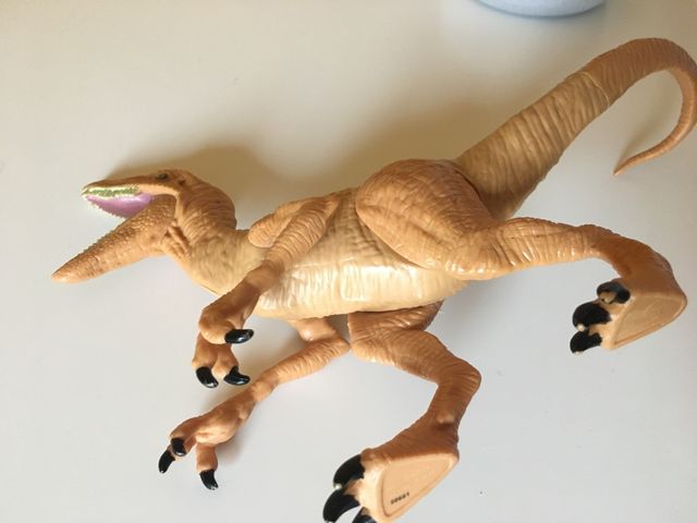 Velociraptor