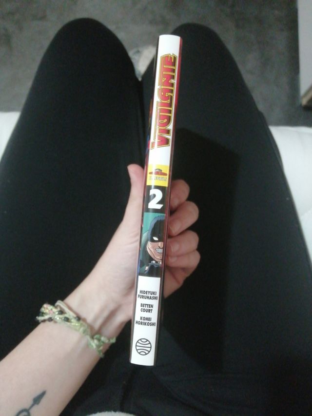 Vigilante Illegals: My Hero Academia