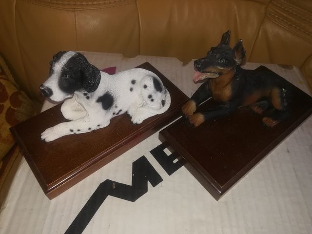 Gran colección de perritos