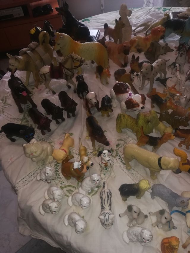 Gran colección de perritos