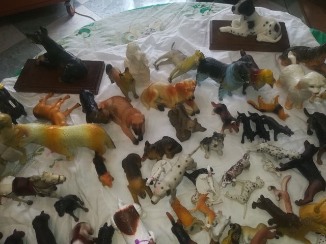 Gran colección de perritos