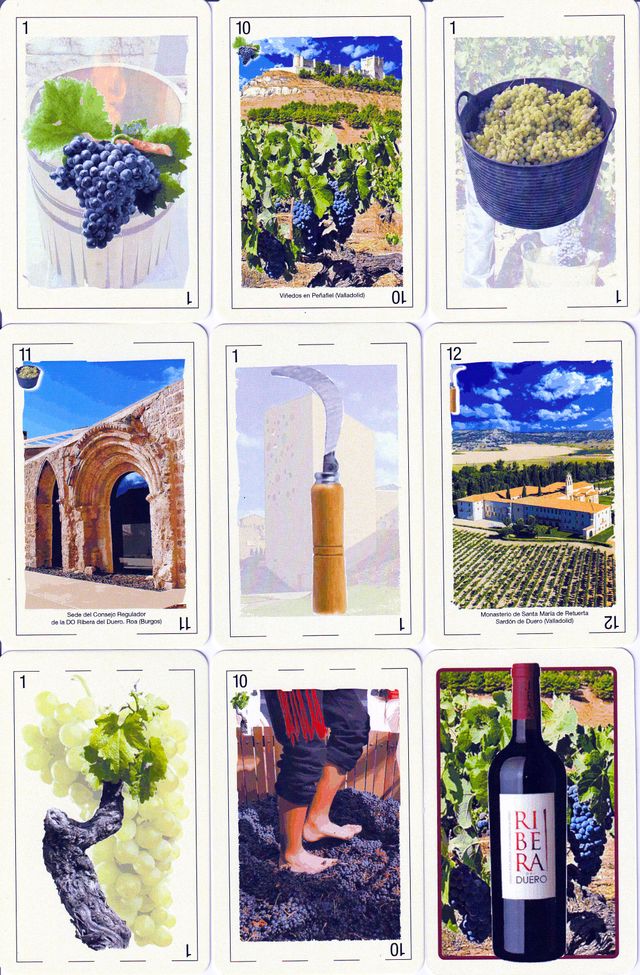 BARAJA ESPAÑOLA DE LA D.O. RIBERA DEL DUERO