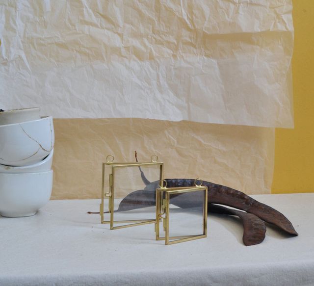 Herbario de Paniculata