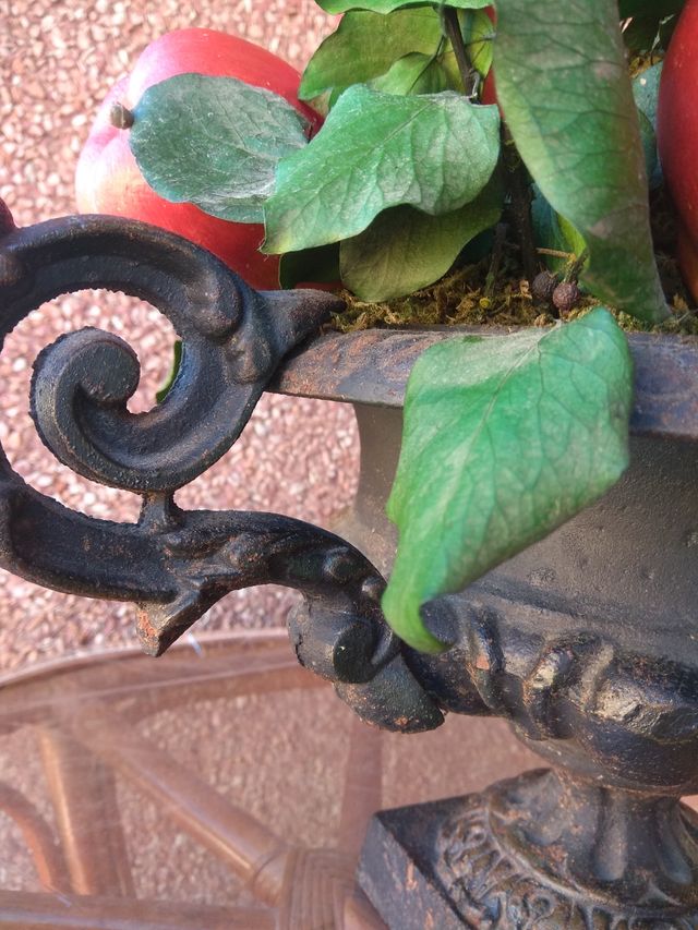 CENTRO DE HIERRO FORJADO