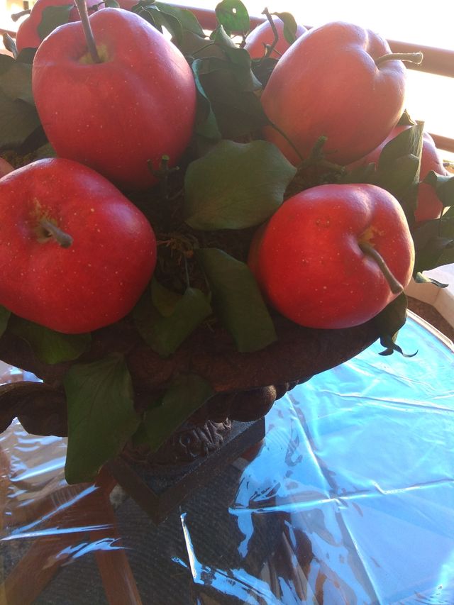 CENTRO DE HIERRO FORJADO