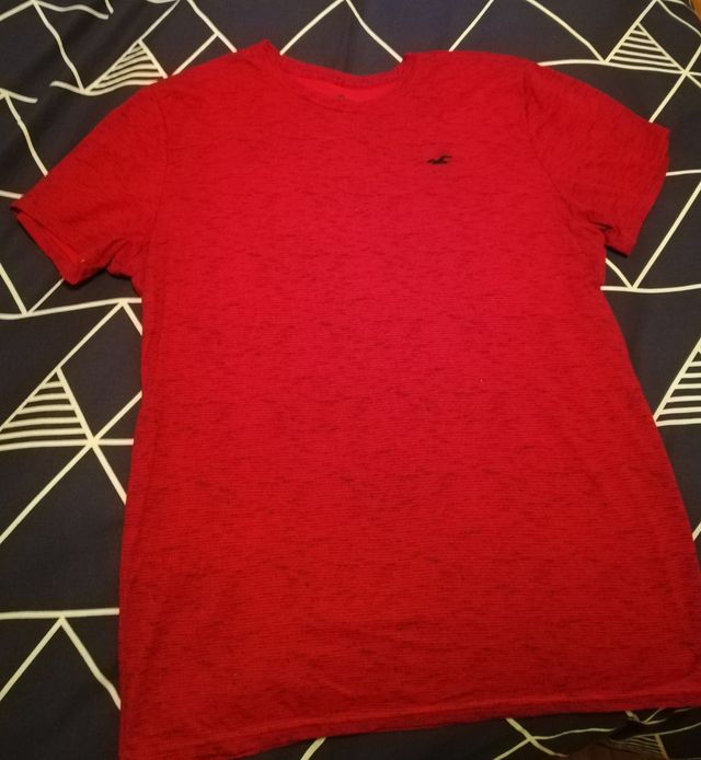 Camiseta HOLLISTER 