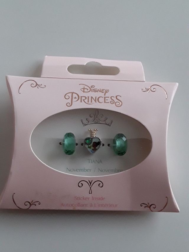 Charm Princesa Disney