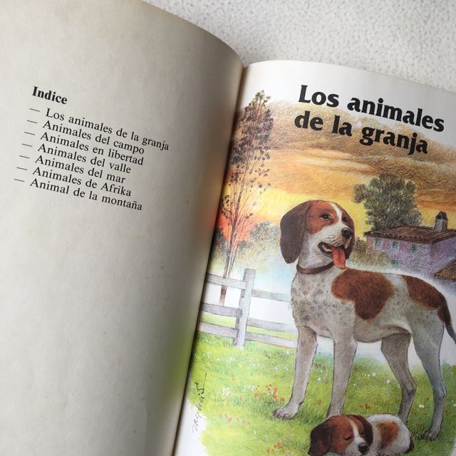 Animales en libertad - Editorial Hemma